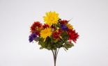  ASTER MUM DAISY BUSH X