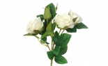 Rose Spray X3 White