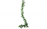  6'l Eucalyptus Garland G
