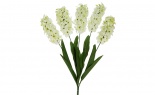  Hyacinth Bush X5 White