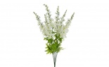  Garden Delphinium X7 Whi