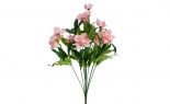  Fairy Magnolia Bush X12