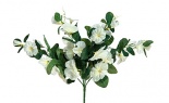  Petunia Bush X5 White