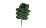   Hydrangea Leaf Spray Gr
