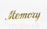  Script Word Memory