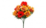   Mx Poppy Zinnia Bush Or