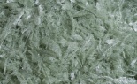  Shred Green 10lb