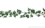  6' English Ivy Garland