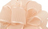  Antonia #9 Pale Peach