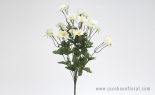  DAISY BUSH X12 WHITE YELLOW CENTER