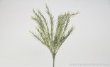  IRISH YEW BUSH GREEN