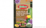  4qt Cactus & Succulent Soil Mix