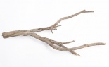  3' DRIFTWOOD WEATHERED