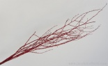 3'- 4.5' Painted Glit Birch Branches Red