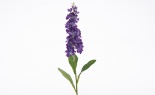  STOCK STEM PURPLE