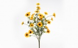  VIKING DAISY BUSH GOLD