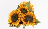  Natural Sunflower Bundle X 7 Gold