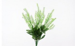  Astilbe Bush X12 White