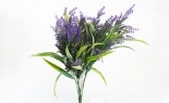   Wp Lavender Bush X 12