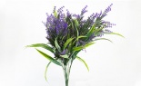   WP LAVENDER BUSH X 12