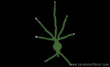  8HR C-LYTE 5 GREEN CHENILLE STRANDS WITH WHITE LED