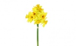  Daffodil Bundle Yellow