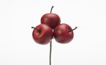 Natural Apple Pic X3 Red