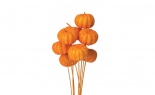  55MM PUMPKIN GLIT PIC