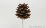  3 - 4 Cm Pine Cone W/ Wire Stem Natural Bg/12