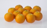  50mm Clementine Orange