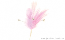 Jacobson Floral - _feathers : Flutterzz Light Pink