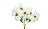  Wp Poinsettia Bush X5 Wh