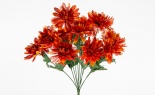  Chrysanthemum Bush X12 B