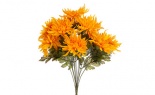  Spider Mum Bush X12 Gold