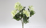  HYDRANGEA BUSH X7 CREAM GREEN