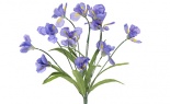   Iris Bush X12 Purple
