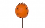  60mm Orange W/ Cloves On