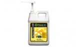  Floralife Express Clear 200 2.5 Gallon W Pump