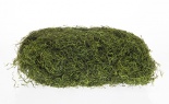  1# Spanish Moss Green