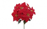  Wr Poinsettia X7 Red