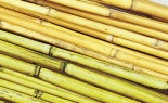  3.5' River Cane Natura