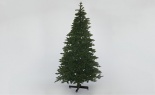  7'h Lit Salem Pine 550