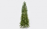  7.5'h Slim Marsh Pine