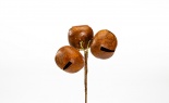  45 Mm Rusty Ding Dong X3