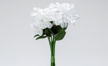  Bouquet Style Stephano