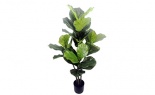  4'h Fiddle Leaf Tree Rea