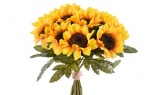  8'l Sunflower Bundle