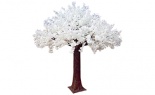  13'h Cherry Blossom Tree