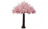  13'h Cherry Blossom Tree