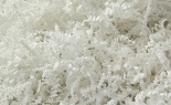 Crinkle Fill 10lb Whit